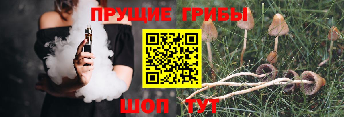 Галлюциногенные грибы Magic Shrooms  Вход с VPN  магазин    Балаково 
